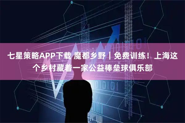 七星策略APP下载 魔都乡野｜免费训练！上海这个乡村藏着一家公益棒垒球俱乐部